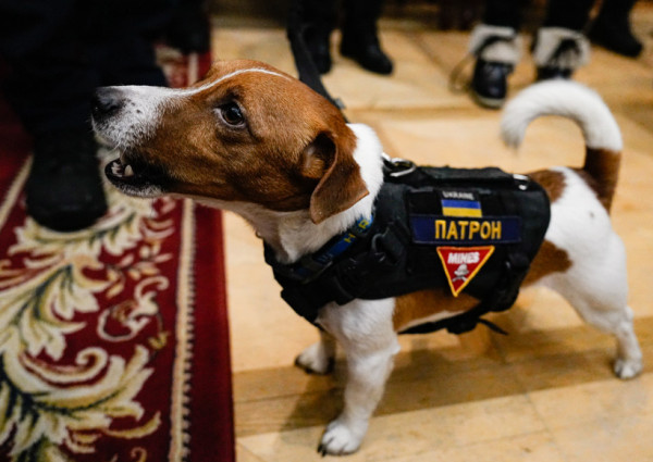 Латвия отправляет диваны в Украину и инвестирует в дроны для ВСУ