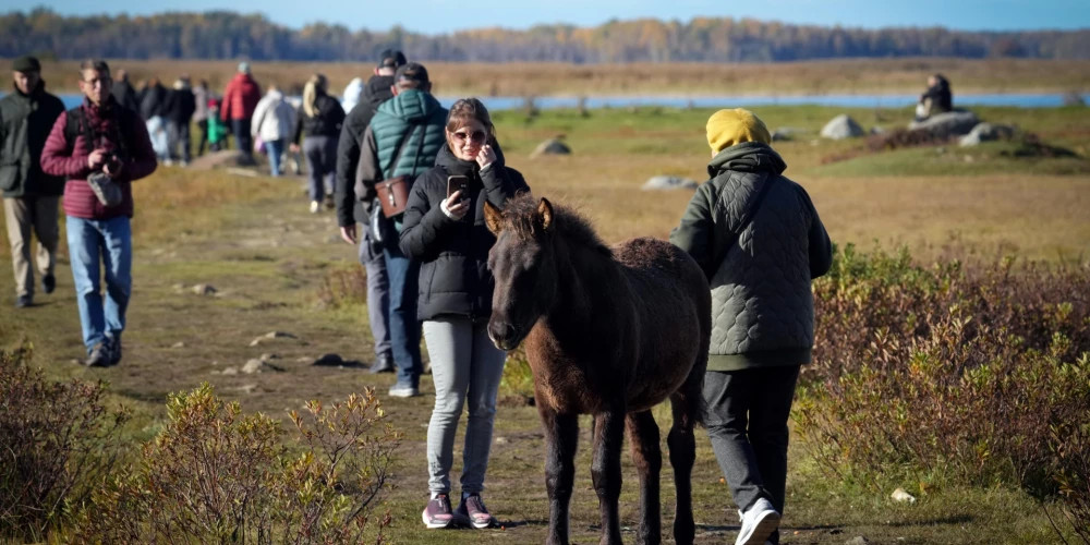 Массовые гулянья в заповедниках Латвии могут принести от 110 до 3030 евро