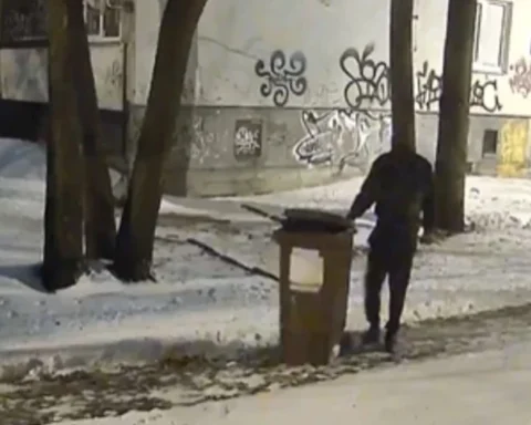 Необычная кража мусорного контейнера зафиксирована в Иманте