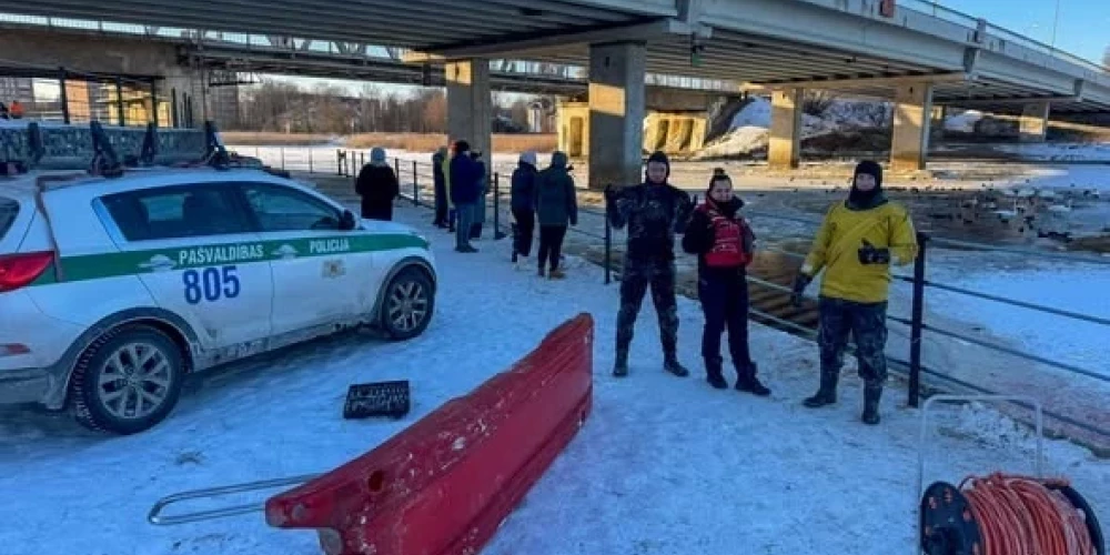 Полицейские Латвии спасли птиц из замерзшей Булльупе после заявления властей о "естественном отборе"