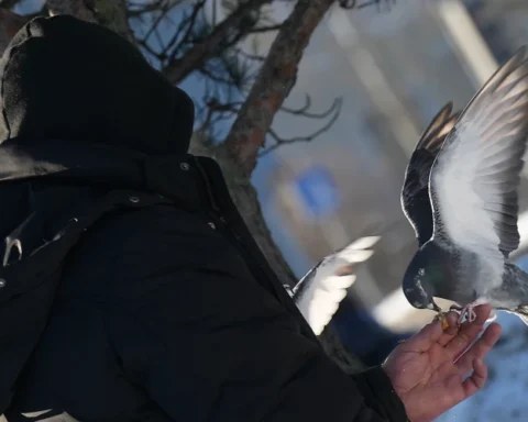 Прогноз погоды на пятницу: ночью до -20, днем плюсовая температура