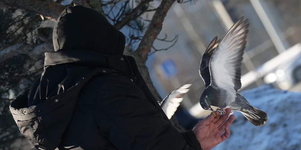 Прогноз погоды на пятницу: ночью до -20, днем плюсовая температура