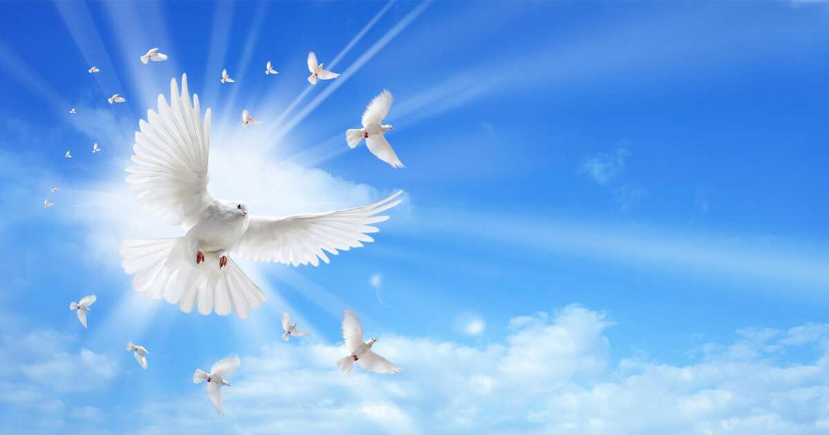 Прощеное воскресенье: как и у кого попросить прощения перед Великим постом