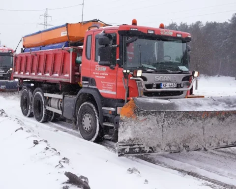 Рижская дума публикует фото уборки снега с улиц города