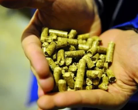 С усилением холода в Латвии растет спрос на топливные гранулы, производитель не справляется с заказами