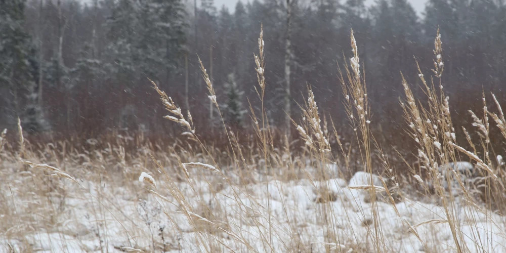 Сегодня в Латвии ожидается увеличение снежного покрова на 2-4 см
