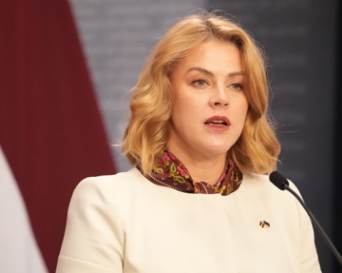 Силиня угрожает отставкой члену правительства Латвии на фоне проверки состояния деревообрабатывающей отрасли