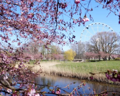 Синоптики прогнозируют возвращение температуры в Латвии к норме после 5 февраля