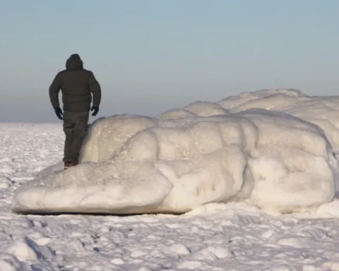Снегопад в юго-восточных районах Латвии: ожидается рост снежного покрова до нескольких сантиметров