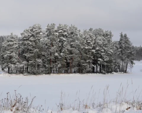 Снегопады ожидаются в Латгале и Селии с температурой до -7…-12 градусов