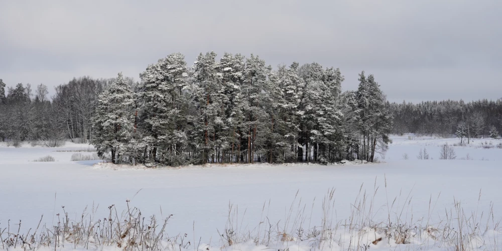 Снегопады ожидаются в Латгале и Селии с температурой до -7…-12 градусов