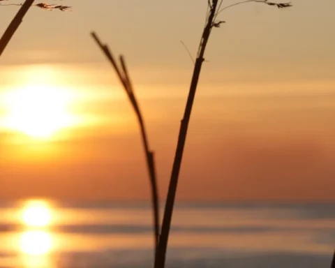 Температура в Курземе в пятницу поднимется до +1 градуса