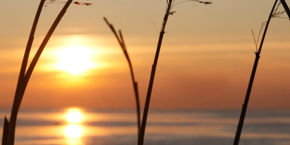 Температура в Курземе в пятницу поднимется до +1 градуса