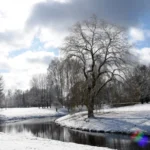 В четверг в Латвии ожидается выход солнца и ухудшение качества воздуха