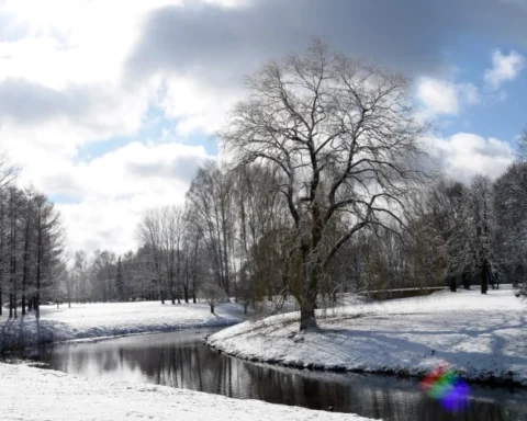 В четверг в Латвии ожидается выход солнца и ухудшение качества воздуха