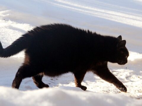 В Даугавпилсе зафиксирована температура -29,6 градуса, рекорды холода в Лиепае и Руцаве