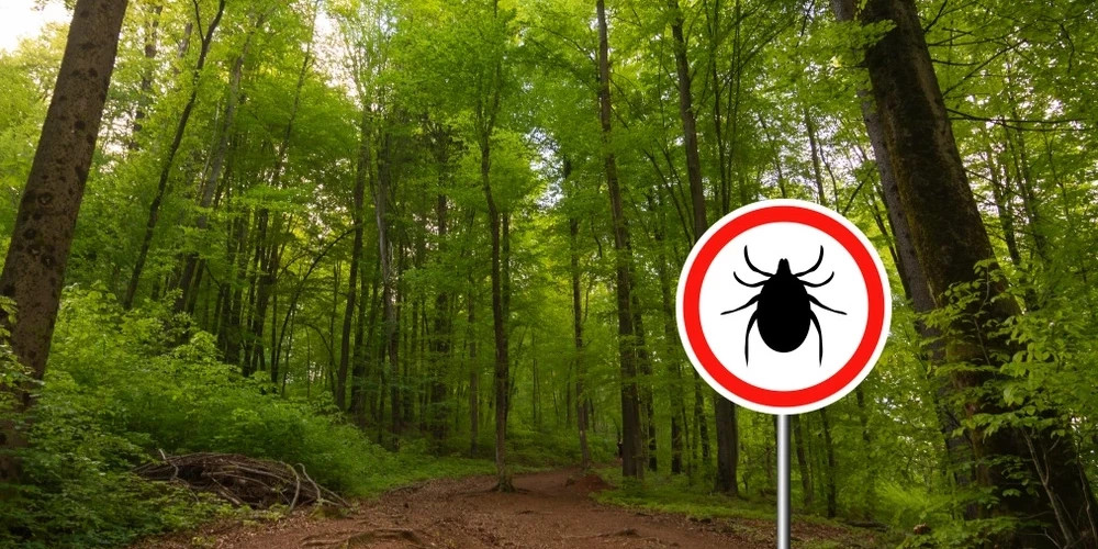 В Кулдигском крае детям сделают бесплатные прививки от клещевого энцефалита