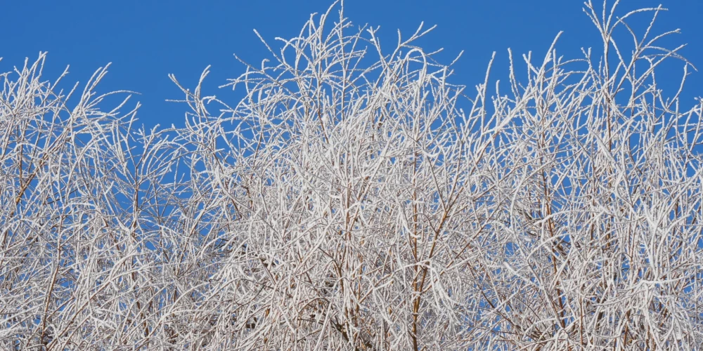 В Латвии утром температура упала до -29 градусов, ожидается небольшой снег днем