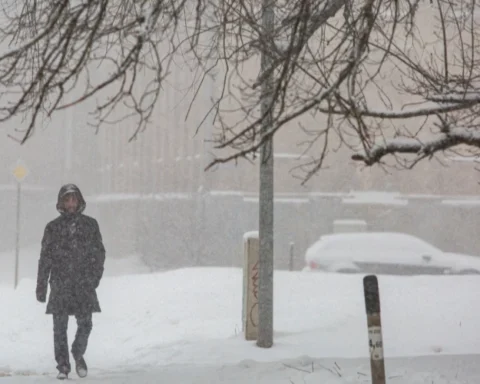 В Латвии, в том числе в Риге, действует оранжевое предупреждение из-за сильного снегопада