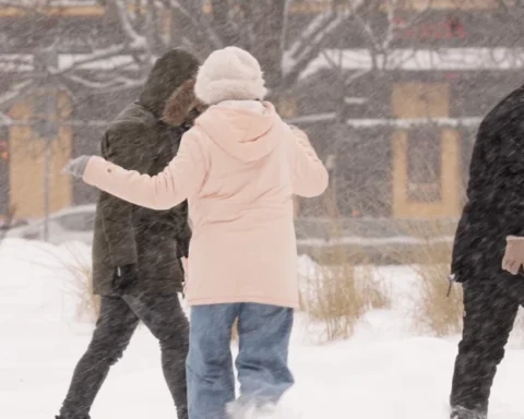 В Латвии зафиксирован самый высокий уровень снежного покрова с 2013 года