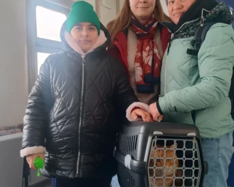 В Латвию продолжают прибывать украинские беженцы: кто они и как живут здесь