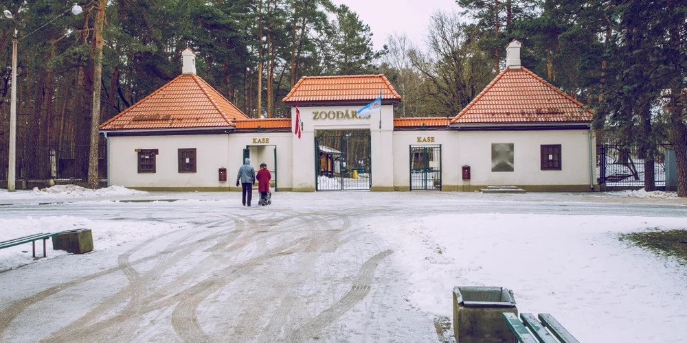 В Риге создадут новые участки для голосования на выборах в Сейм