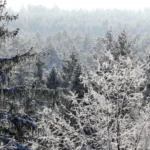 В среду в Латвии ожидаются осадки и сильное похолодание до -23 градусов