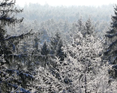 В среду в Латвии ожидаются осадки и сильное похолодание до -23 градусов