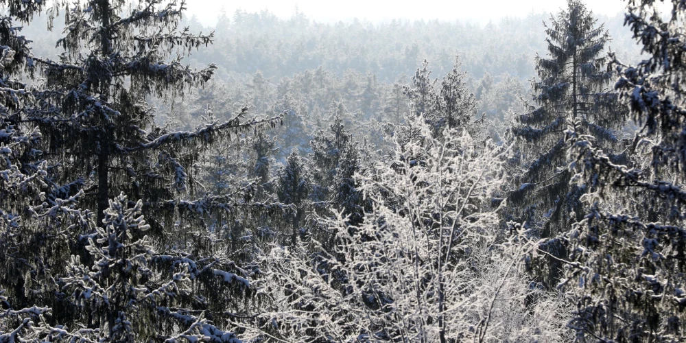 В среду в Латвии ожидаются осадки и сильное похолодание до -23 градусов