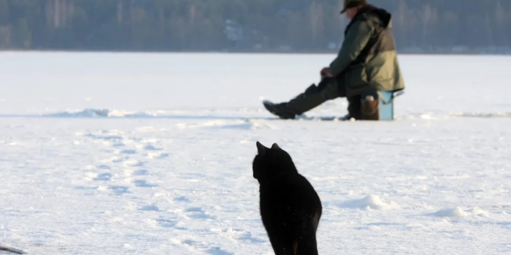 В субботу в Латвии ожидается небольшое потепление с пасмурной погодой и снегом в Курземе