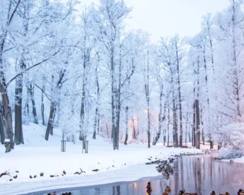 В воскресенье в Латвии ожидается преимущественно солнечная погода и мороз до -10 градусов