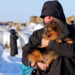 Во вторник в Латвии ожидается солнечная морозная погода с небольшим снегом на востоке