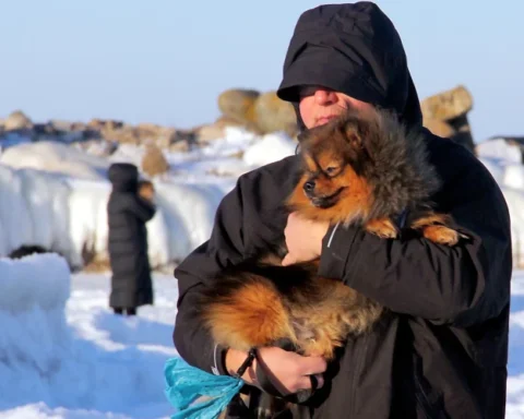 Во вторник в Латвии ожидается солнечная морозная погода с небольшим снегом на востоке