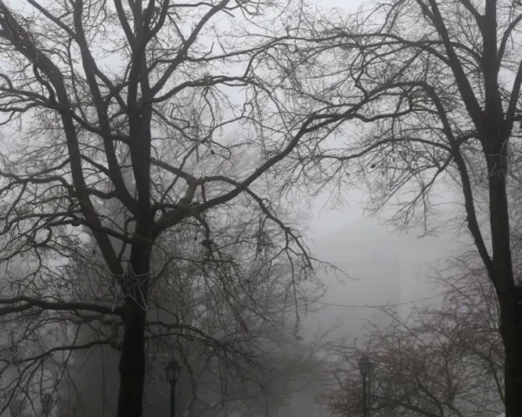 Высокий уровень загрязнения воздуха в Риге ожидается сегодня