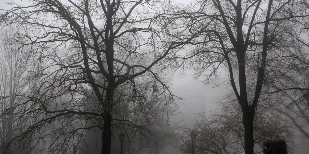 Высокий уровень загрязнения воздуха в Риге ожидается сегодня