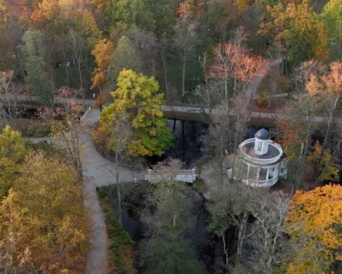 Юрмала инвестировала почти миллион евро в модернизацию лесной части исторического парка Кемери