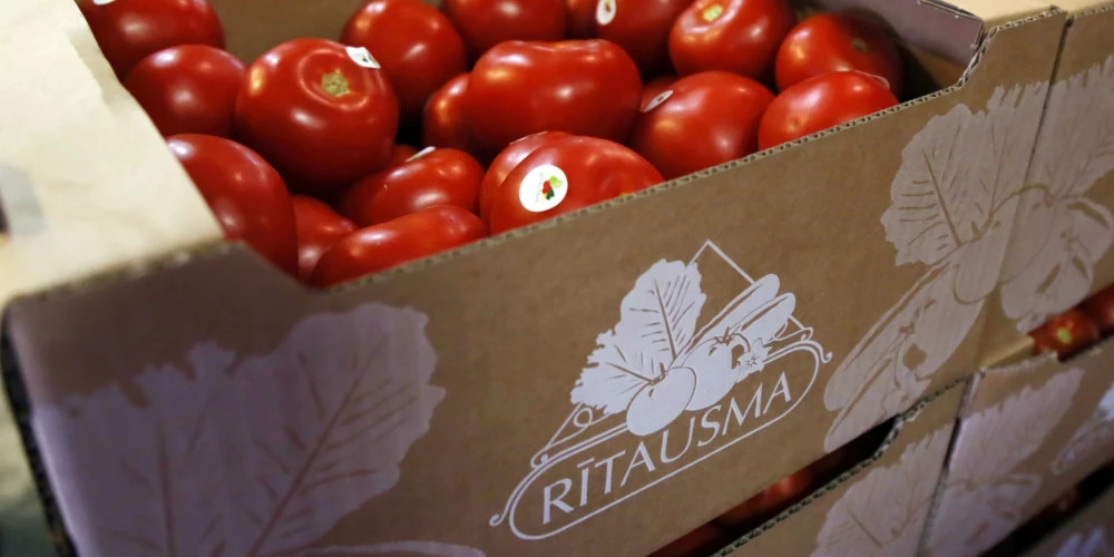 Закрытие овощной компании с 30-летней историей — 65 человек остались без работы