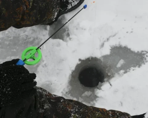 Жители Латвии и Эстонии проведут соревнования по ловле рыбы на общем озере