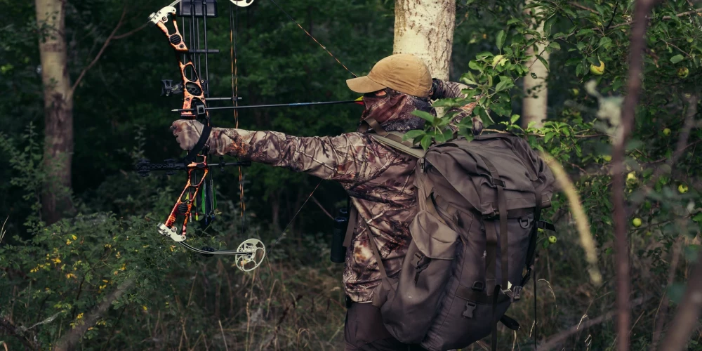 Зоозащитники Латвии против охоты с луком: «Это причинит больше страданий»