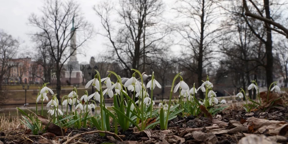 На следующей неделе местами температура воздуха поднимется до +10 градусов