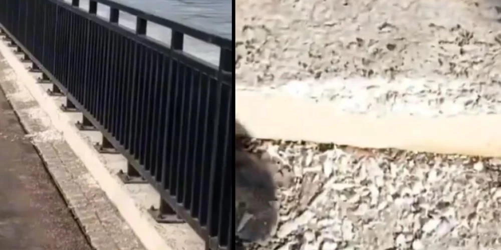 Набережная Мукусалас за 20 млн разваливается спустя 3 месяца после открытия