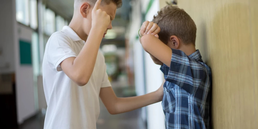 Невозможность решения проблемы насилия в школе Озолниеки: более десяти служб безуспешно пытаются помочь ученику