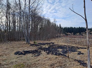 Обломки дрона обнаружены на поле в Эстонии, полиция проводит расследование