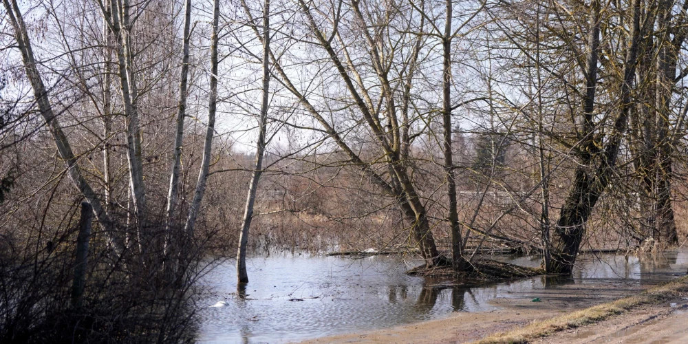 Пасмурная и дождливая погода ожидается в Латвии в понедельник