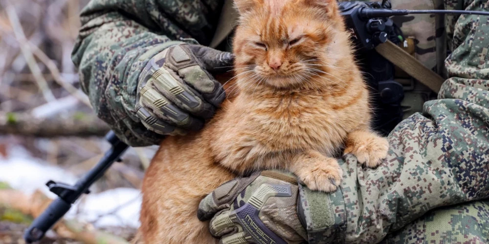 Российский сержант, сбежавший с фронта, выразил готовность извиниться перед украинцами в Латвии