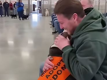 В Канаде собаки из приюта самостоятельно выбирают своих хозяев