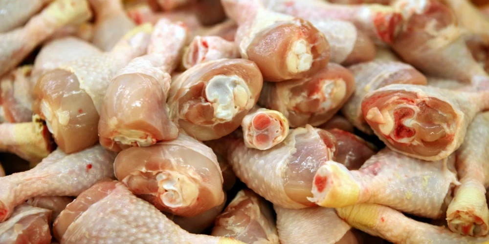 В Латвии обнаружена сальмонелла в курином мясе из Польши и Украины