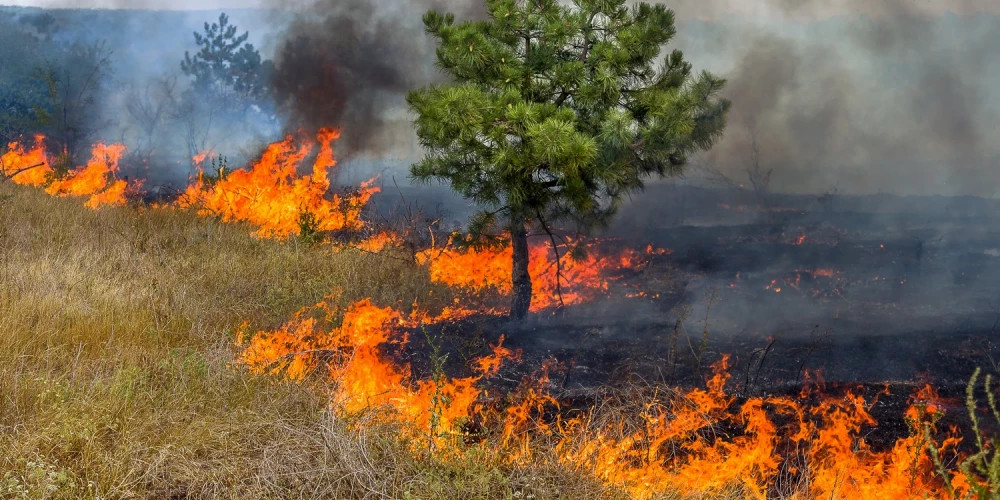 В Латвии резко увеличилось количество пожаров сухой травы в связи с погодными условиями