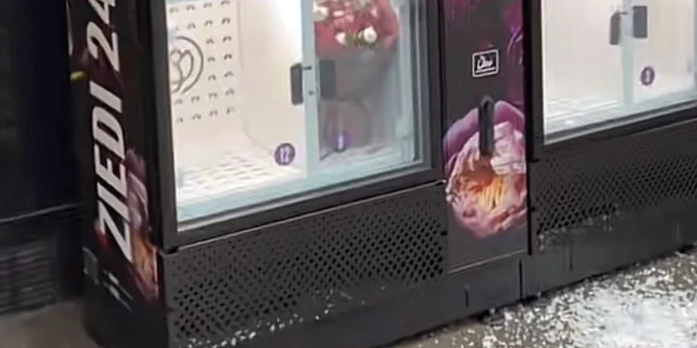 В Риге повторно ограблен цветочный автомат, компания призывает покупать цветы честно