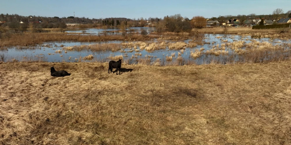 В среду в Латвии ожидаются небольшие дожди и температура до +13 градусов